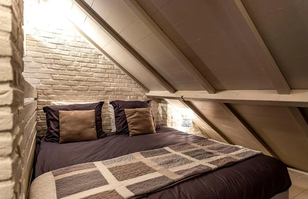 Guesthouse Sint Michielshof, Sfeervolle Carre Boerderij Vlakbij Maastricht-1