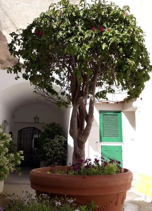 Civico13 Capri-1