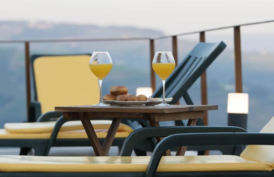 Vila Douro Guesthouse-1