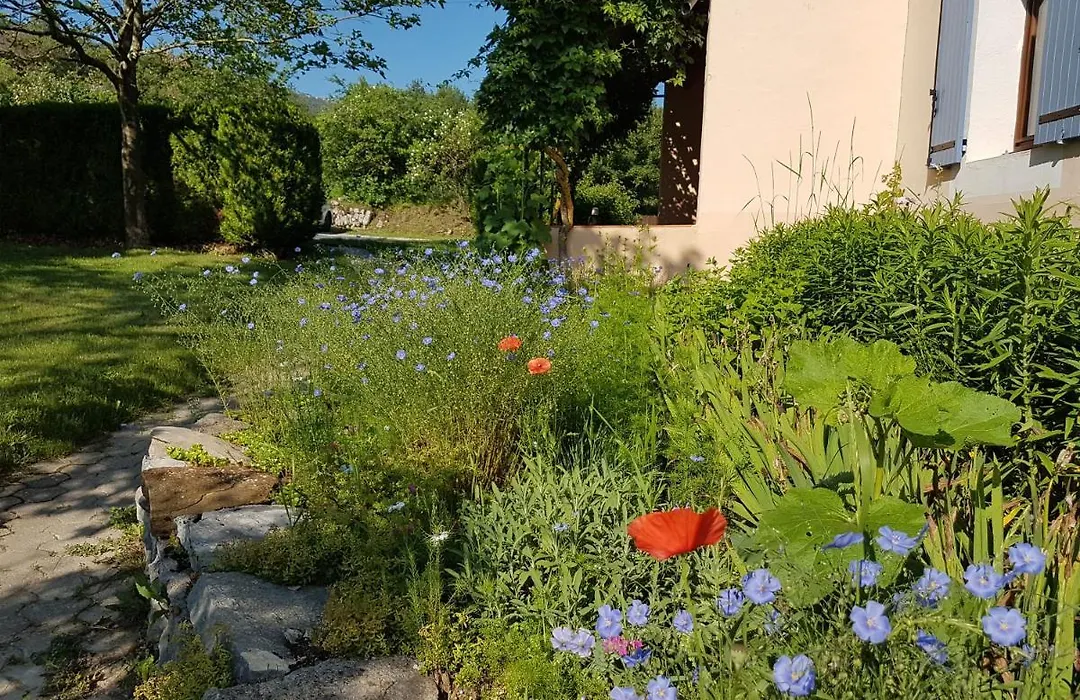 B&B Auberge Verdon-1