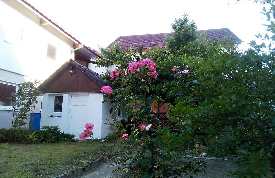 Gasthaus Adler-1