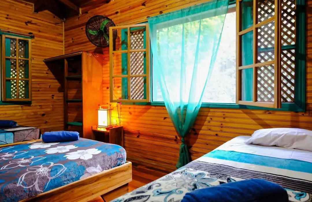 Aldina S Guest House-1