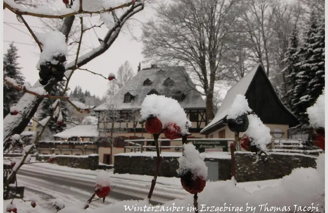 Pension Kleine Auszeit-1