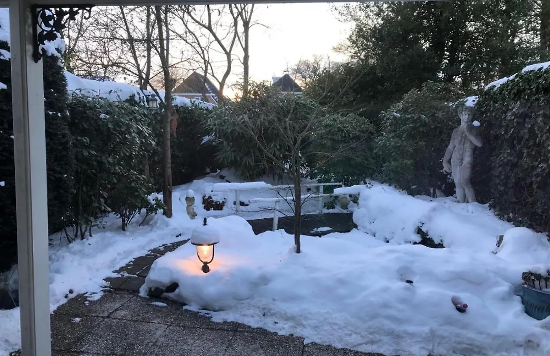 B&B Het Tuinhuisje-1