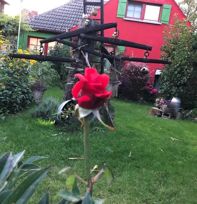 Zur Alten Filmkiste-1