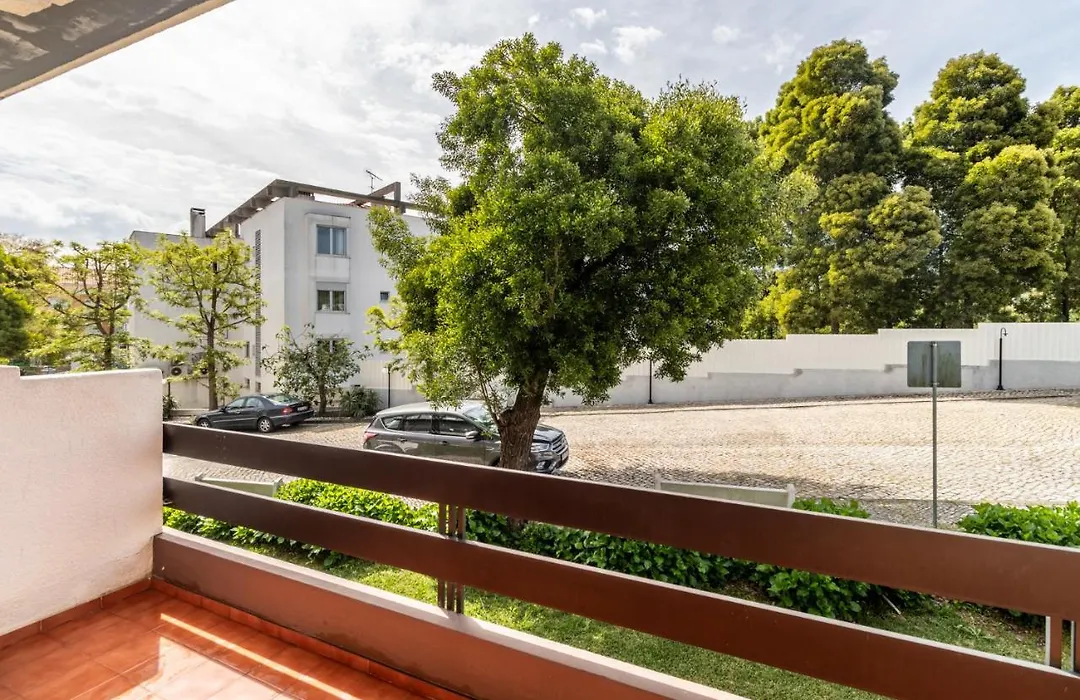 Hotel Colmeia-1