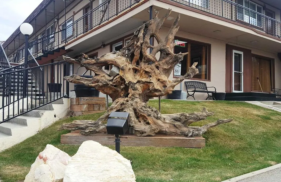 Bristlecone Motel-1