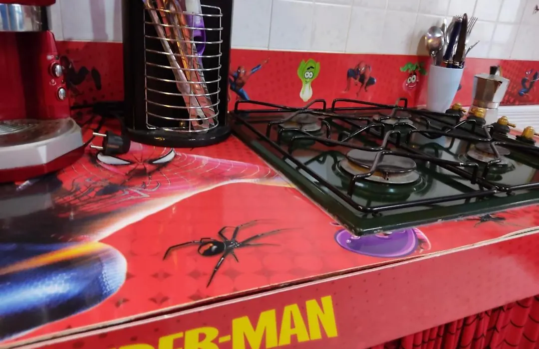 Spiderman House-1