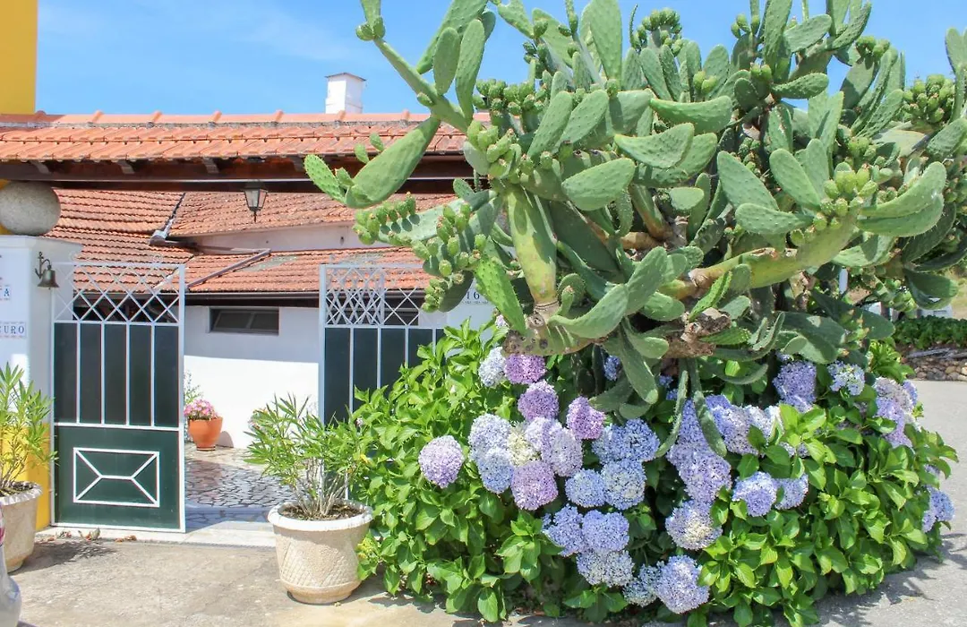 Quinta De Vale Escuro-1