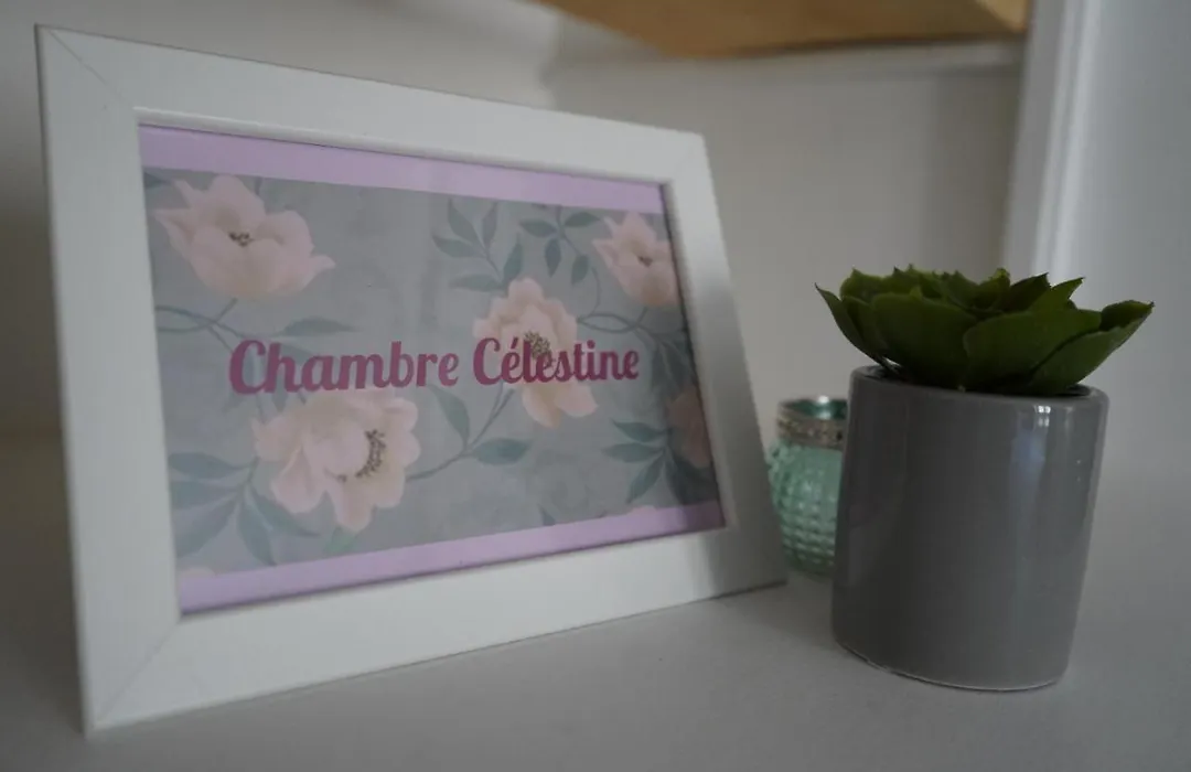 Chambre d’hôte charmante et confortable-1