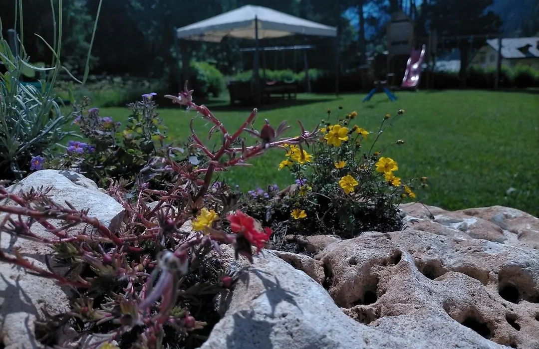 Hotel Flora Alpina-1