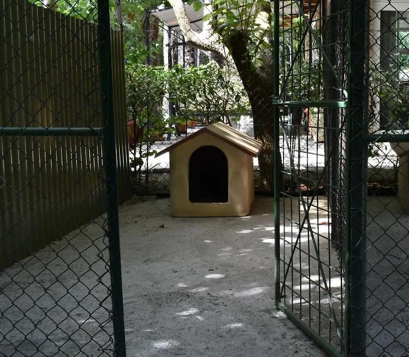 Cospea B&B-1