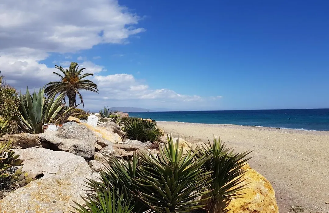 El Palmeral Playa-1