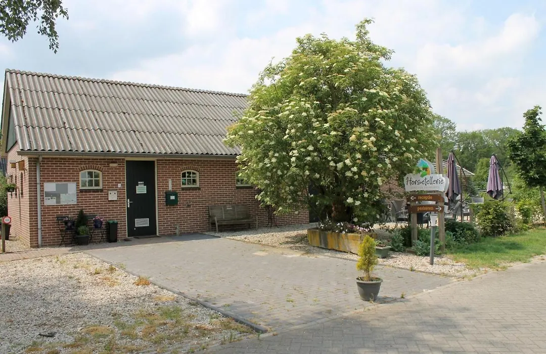 Horsetellerie Rheezerveen-1
