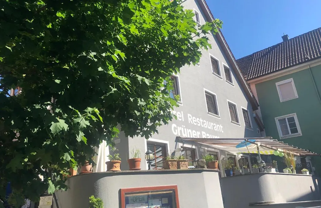Hotel Restaurant Grüner Baum und Altes Tor-1