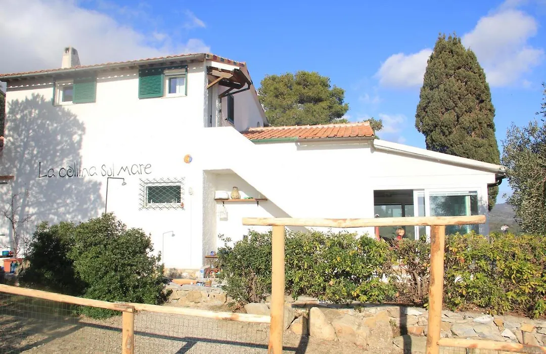 La Collina Sul Mare-1