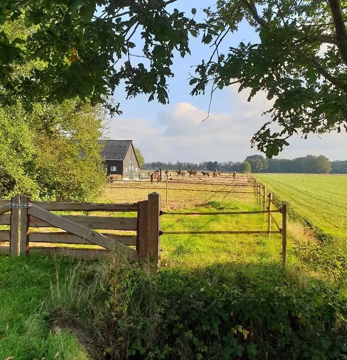 B&B de Berghoeve-1