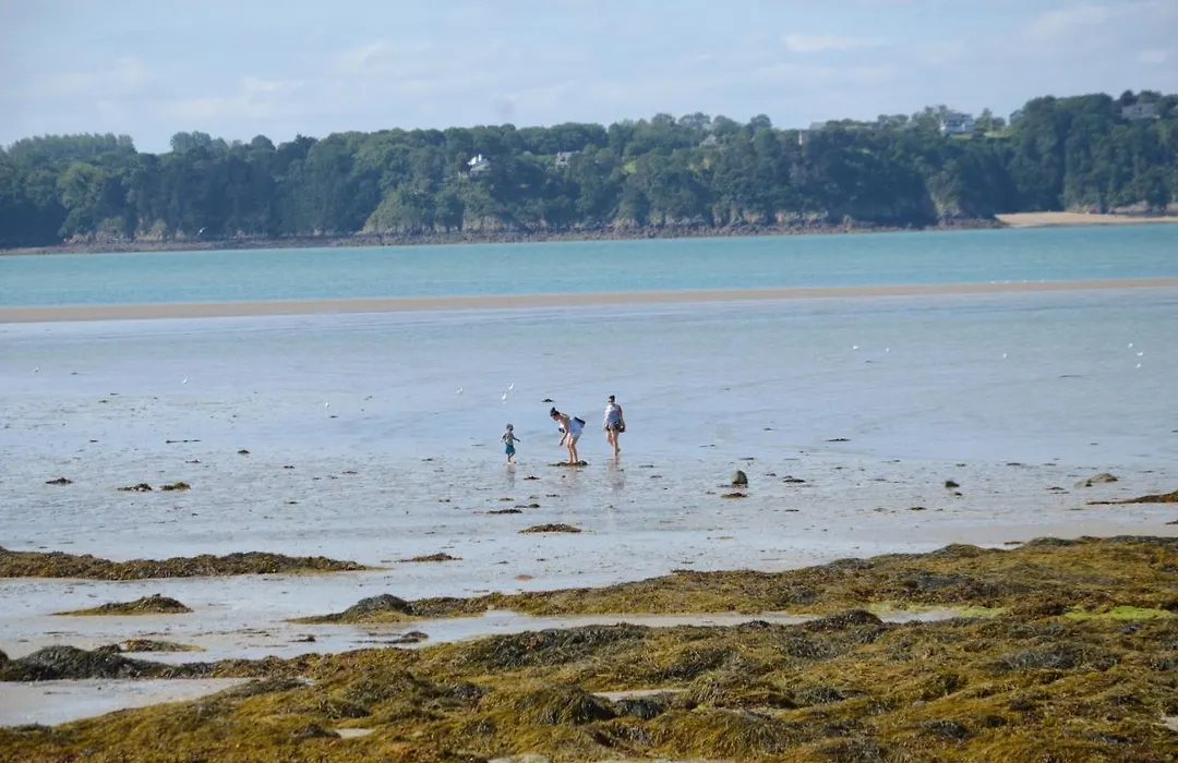Bleu Outremer-1