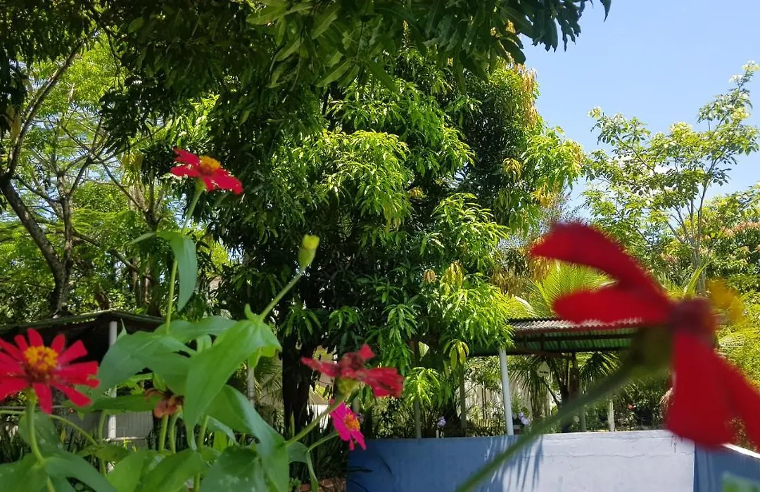 Sitio Recanto Do Paraiso - Srp-1