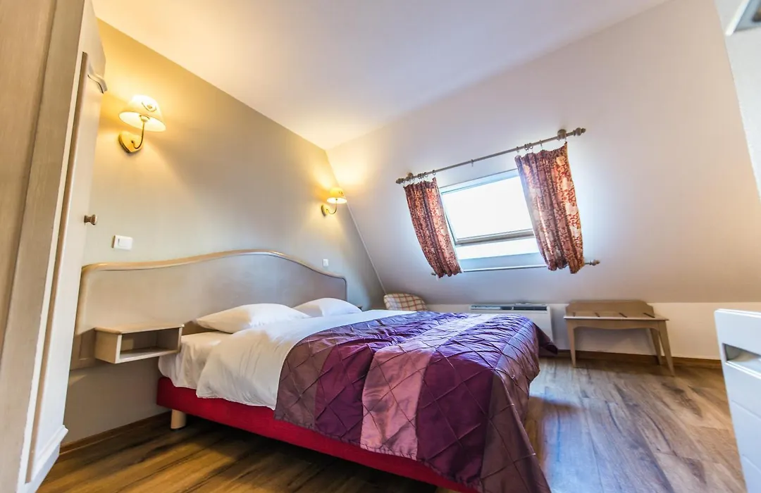 Hôtel Au Lion-1