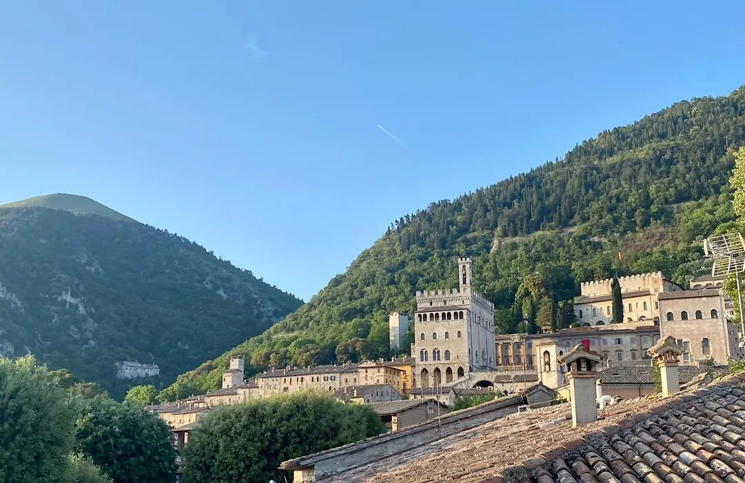 Hotel San Francesco e il lupo-1