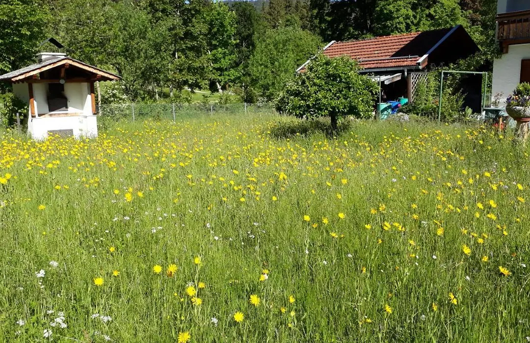 Gästehaus Kurparkfrieden-1