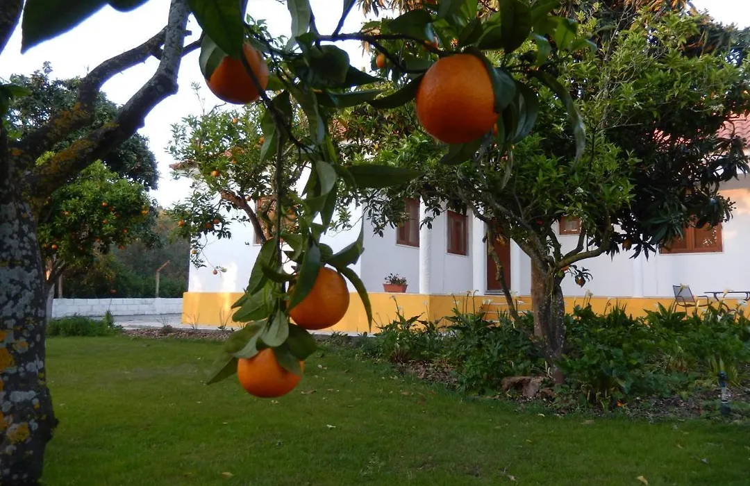 Quinta Laranjal Da Arrabida-1
