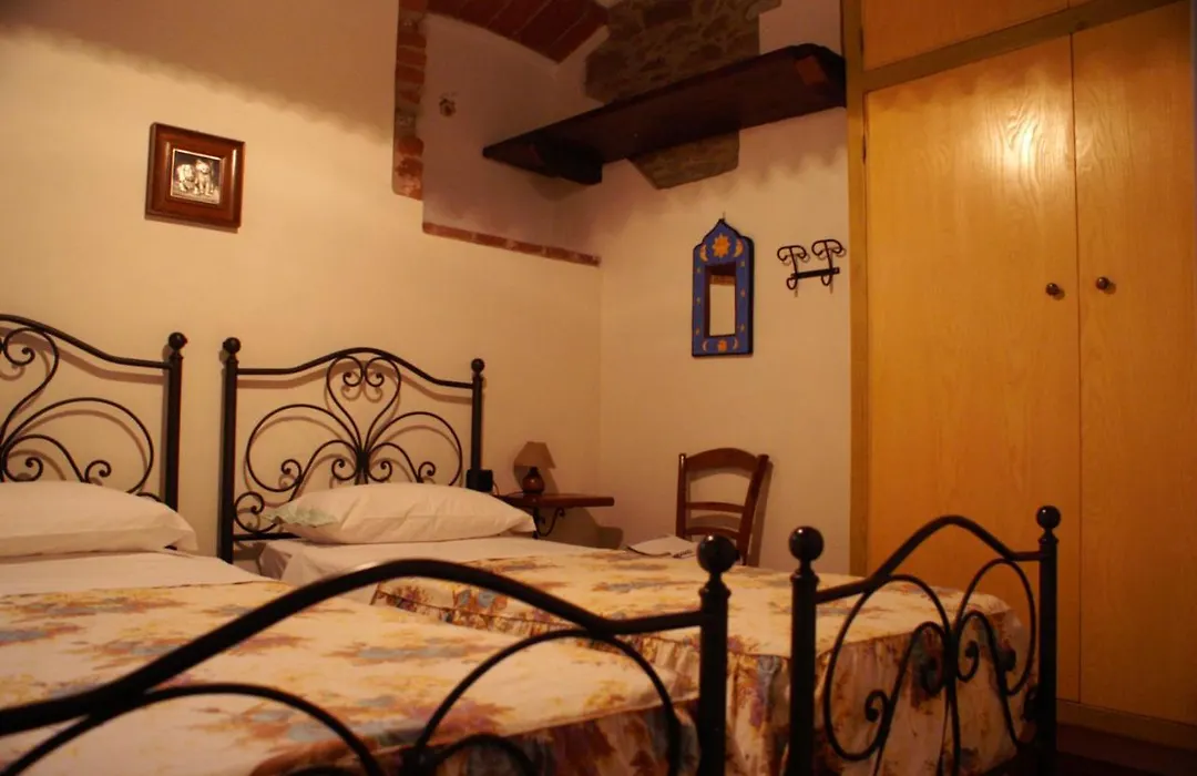 Oliveto di Teodora-1