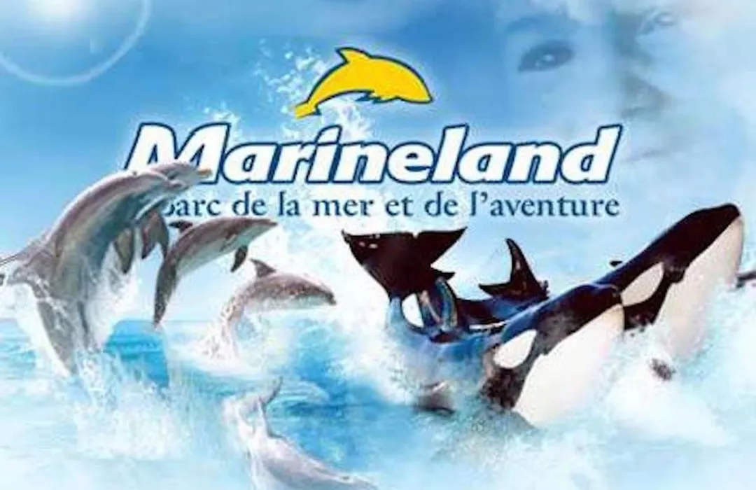 Appartement Marineland Sea View-1