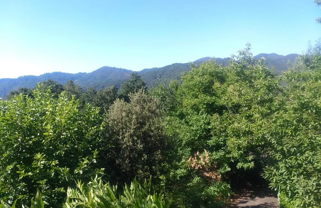Les Jardins d'Arbousse-1