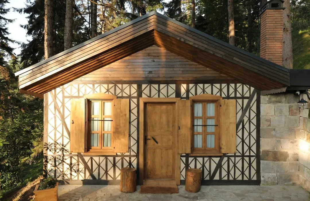 Hancioglu Orman Evleri & Hotel-1