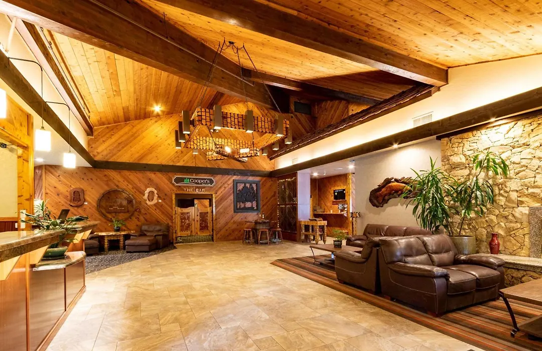 Best Western Plus Tree House-1