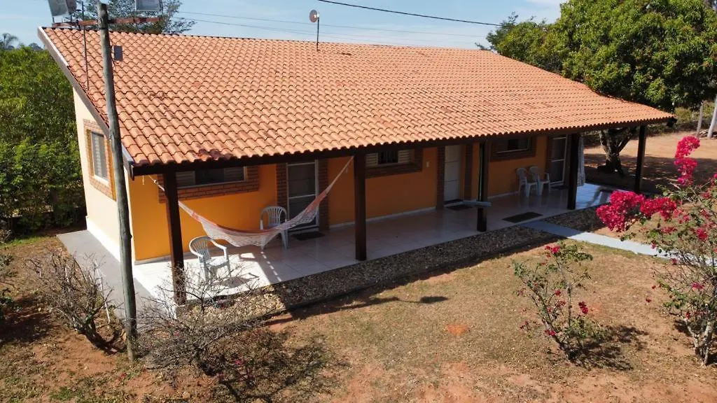 Família Busca-pé-1