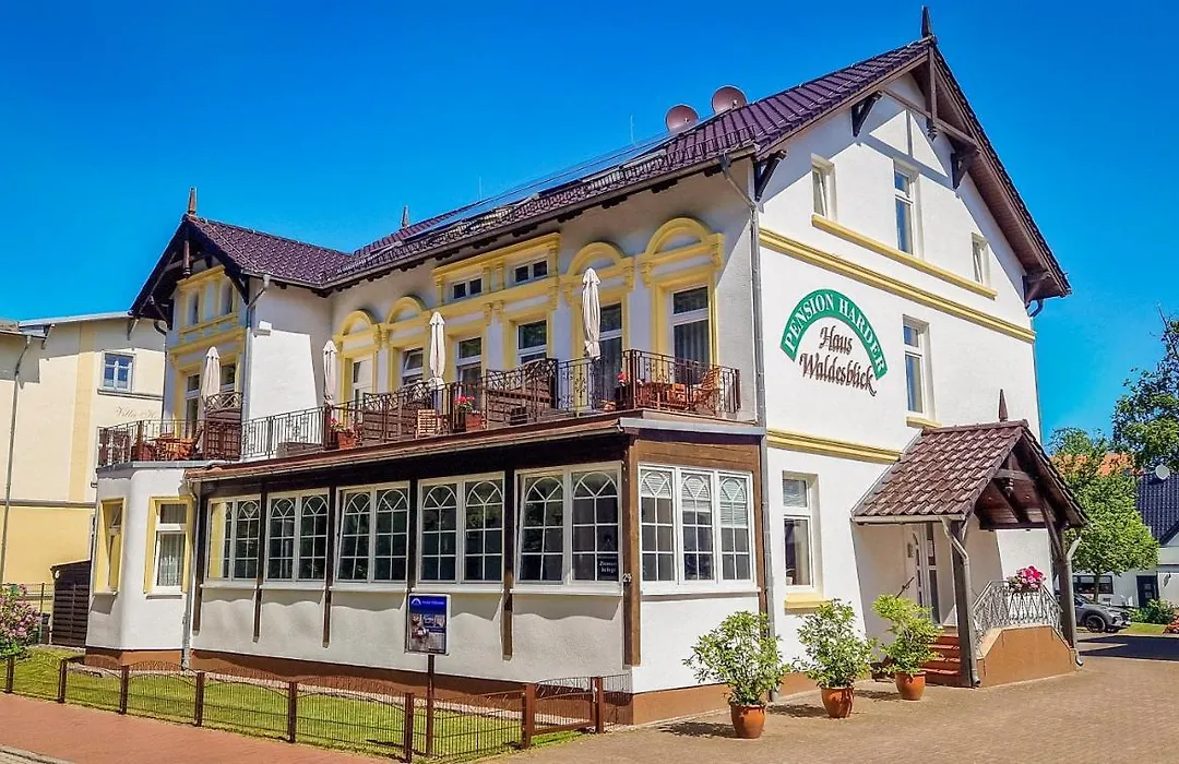 Pension Haus Waldesblick-1