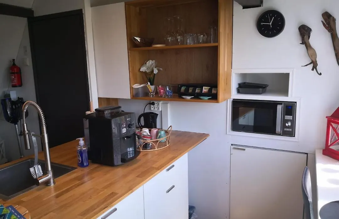 WitteZwaan-1