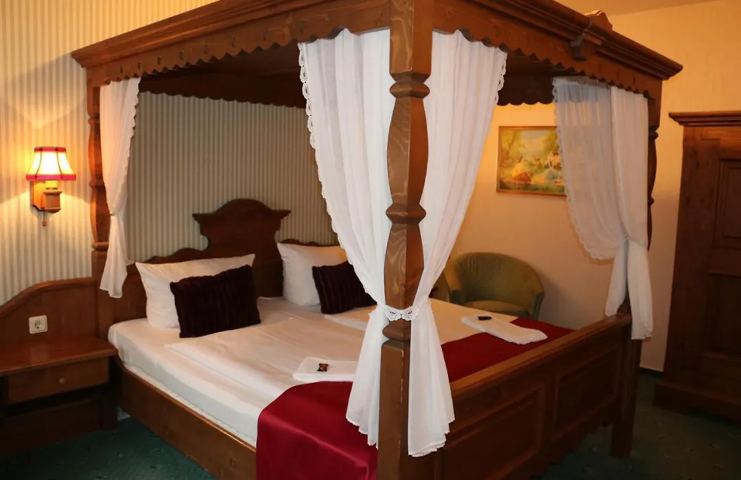 Waldhotel Harz Ilsenburg-1