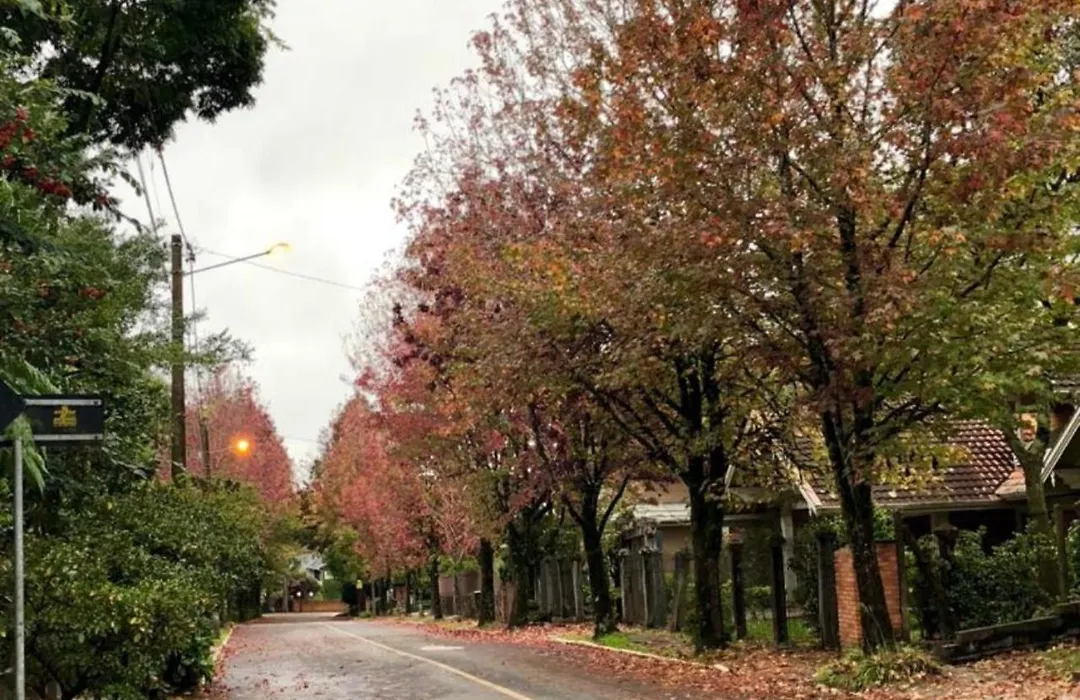 Pousada Gramado-1