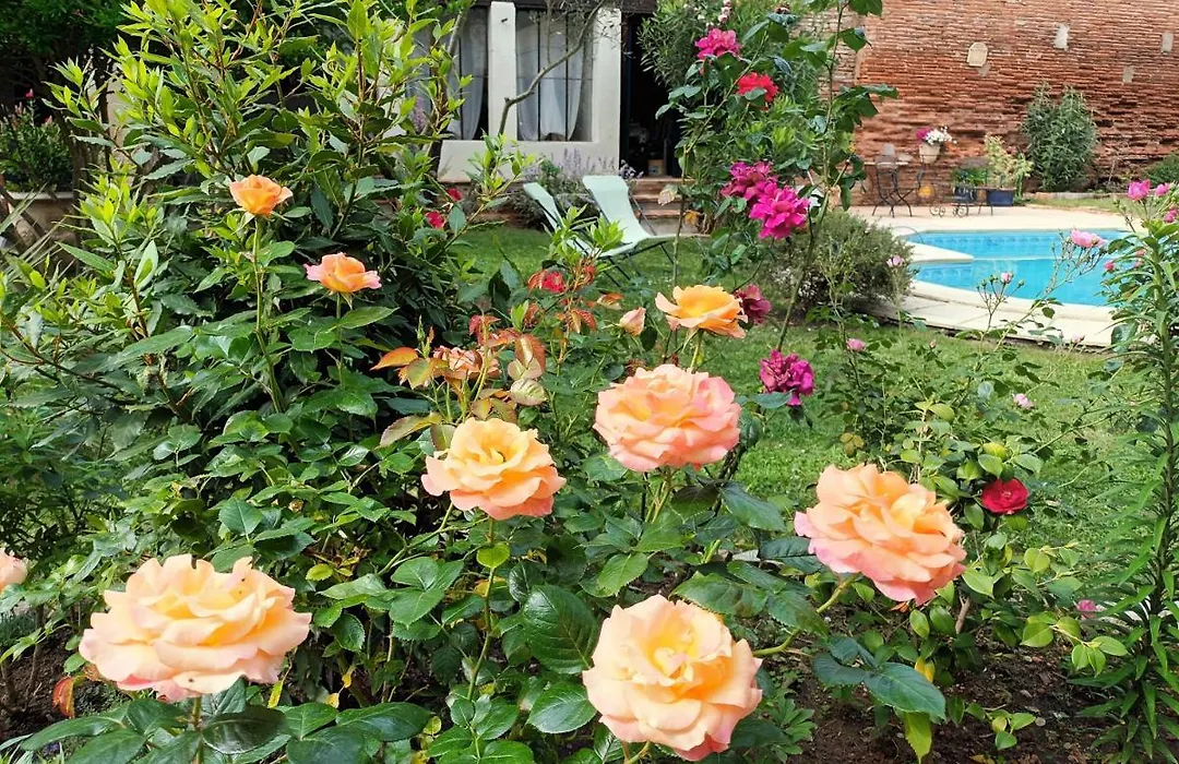 L'Arche de Moissac-1