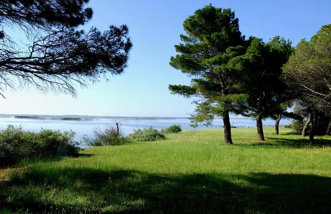 Au Bord De Thau-1