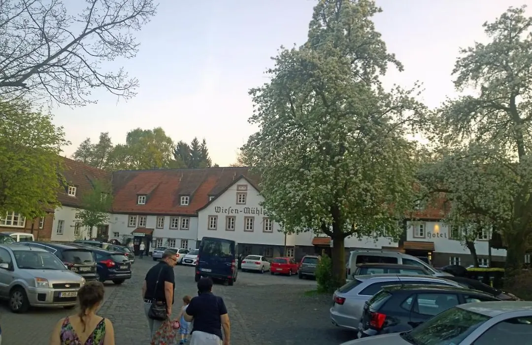 Hotel Brauhaus Wiesenmühle-1