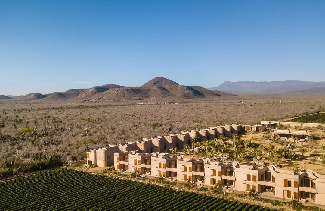 Paradero Todos Santos - Exclusive Experiences Included-1