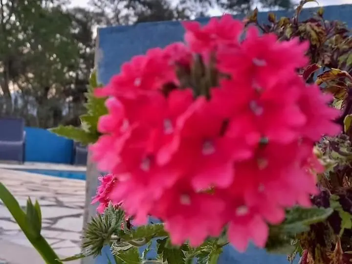 Pousada do Sossego-1