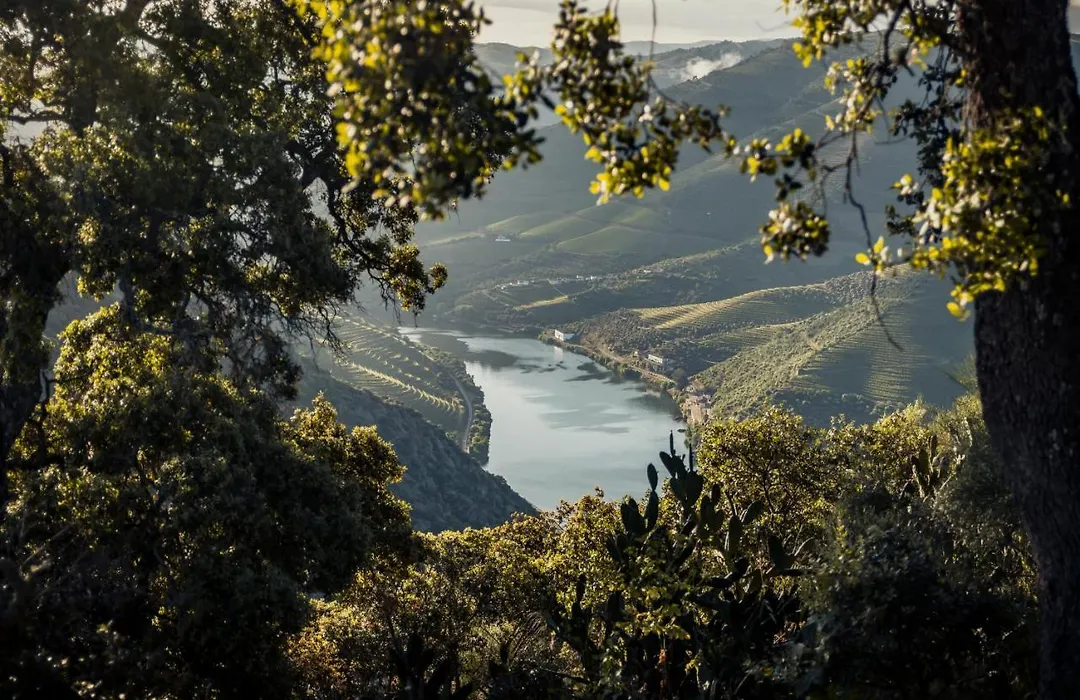 Original Douro Hotel-1