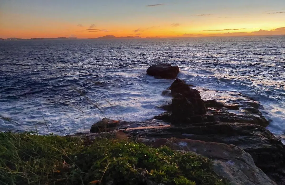 Encantos do mar-1