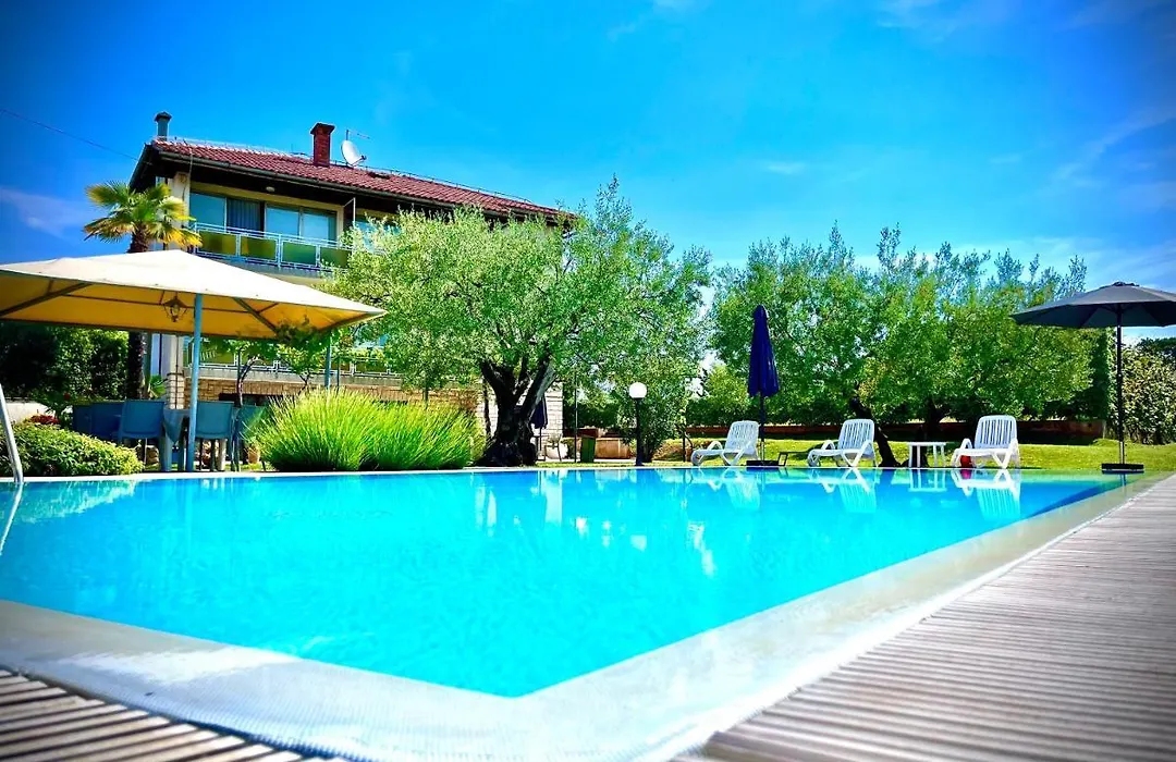 Pansion Margerita-1