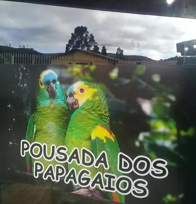 Pousada Dos Papagaios-1