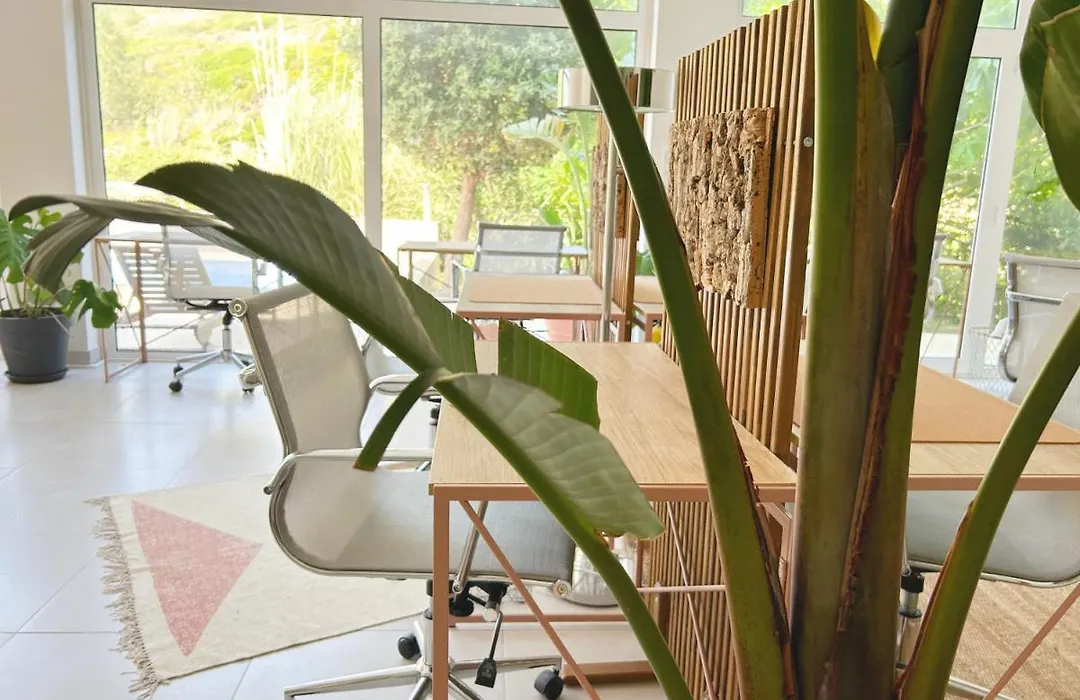 Saone Guesthouse - Coworking & Retreat Location-1