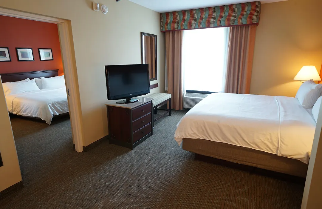 Holiday Inn Express Hotel & Suites Tampa-Oldsmar By Ihg-1