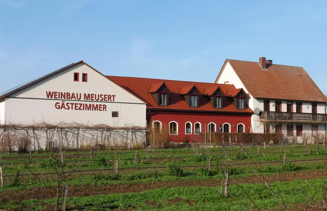 Weinbau&Pension – Familie Birgit und Bernhard Meusert-1