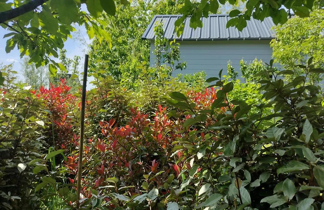 Tuinhuisje in het groen-1